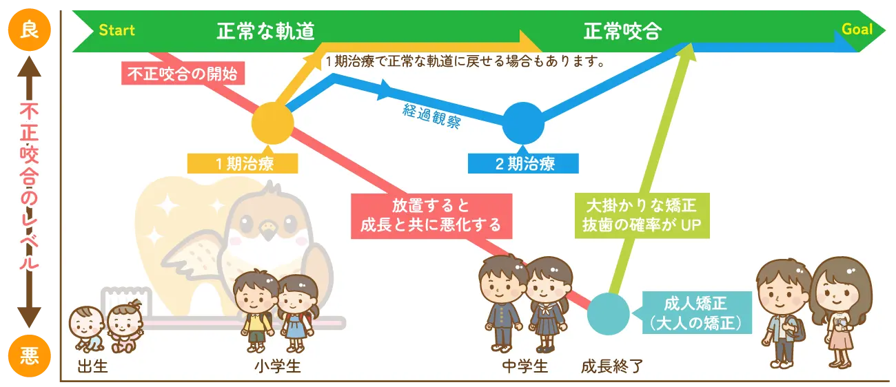 小児矯正歯科の治療の流れ