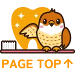 トップへ
